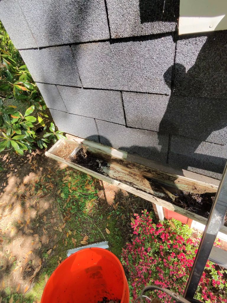 Gutter cleaning