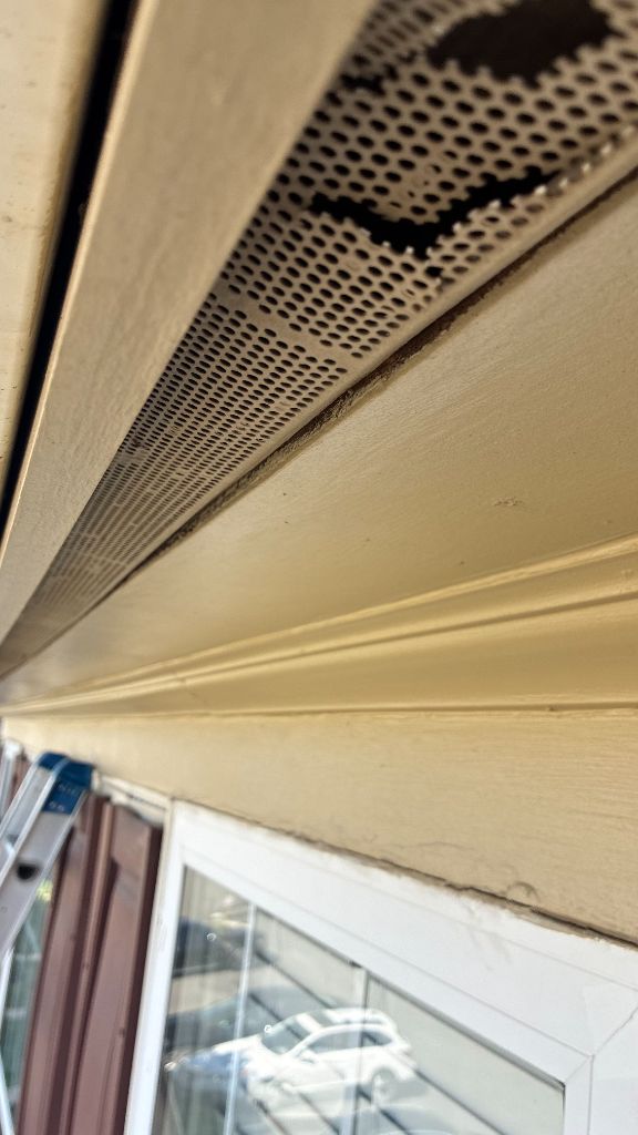 Fascia damage